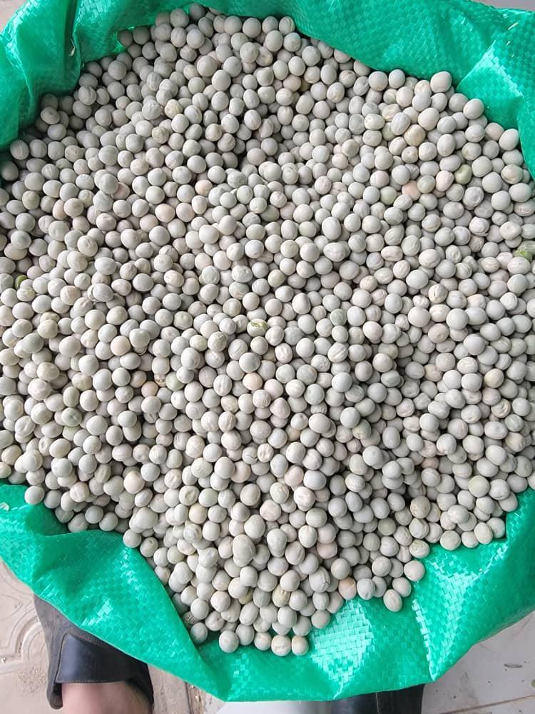Green Peas