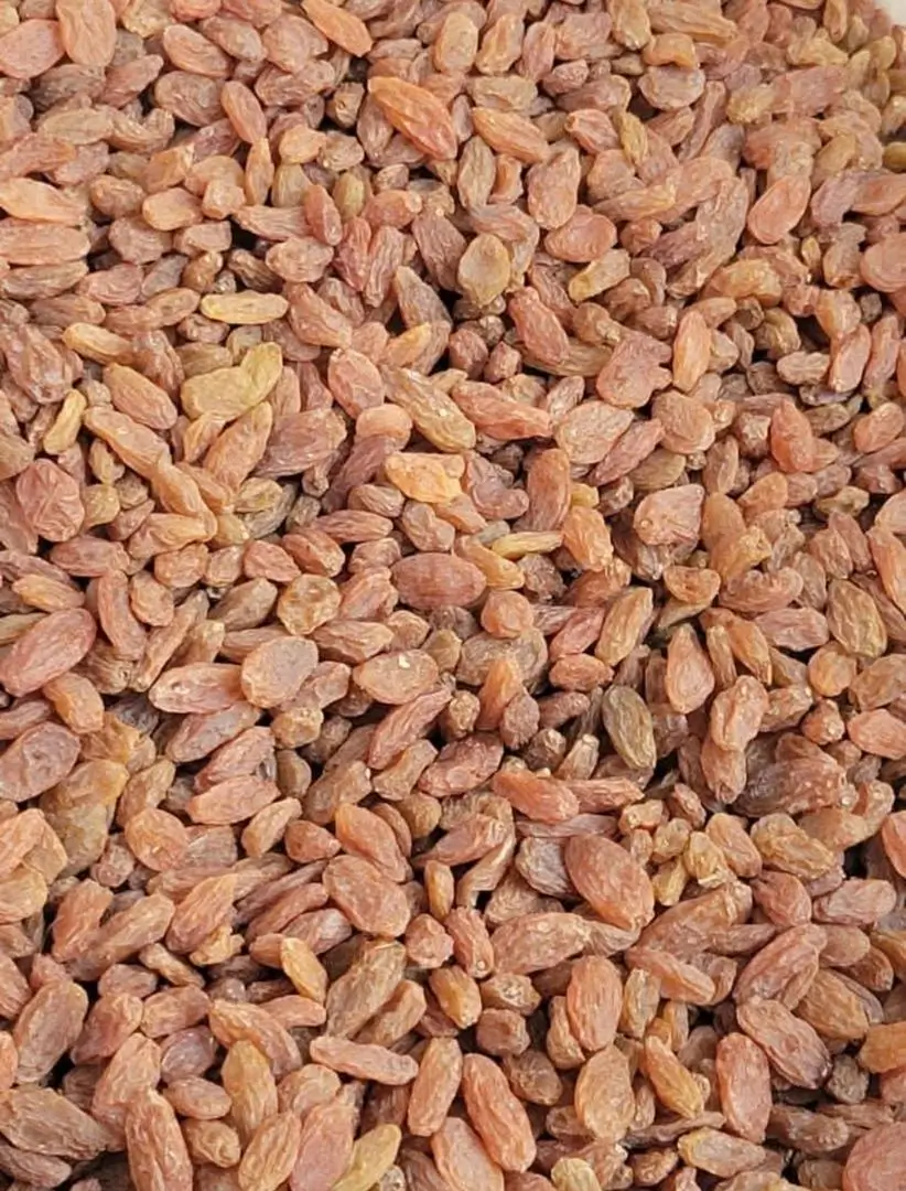 Yemeni Raisins