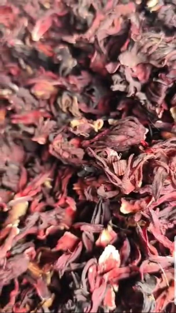 Hibiscus
