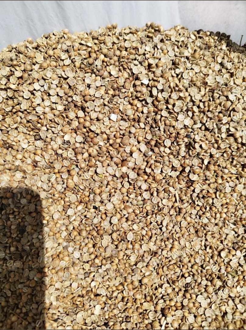 Crushed Coriander Seeds