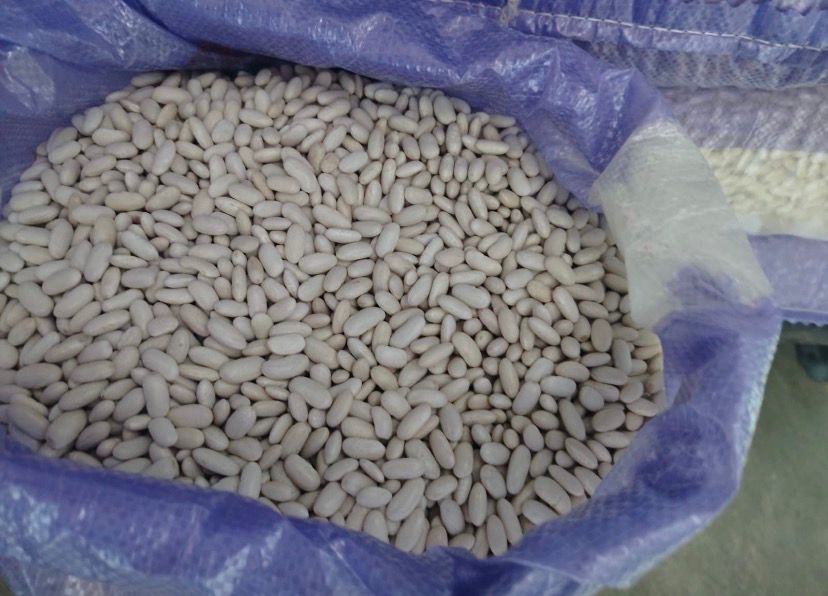 Egyptian White Beans