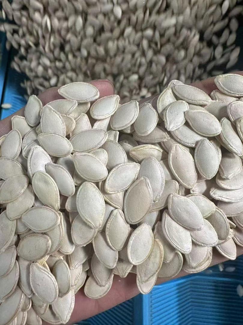Pumpkin seeds