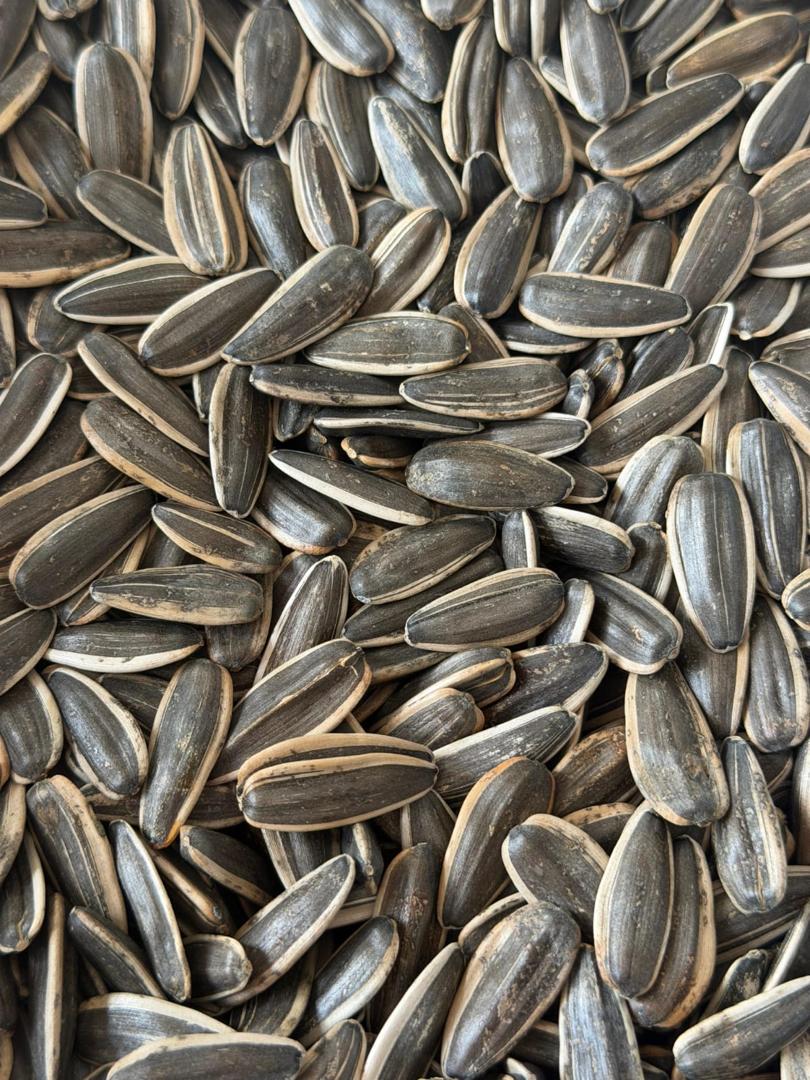 Sunflower seeds
